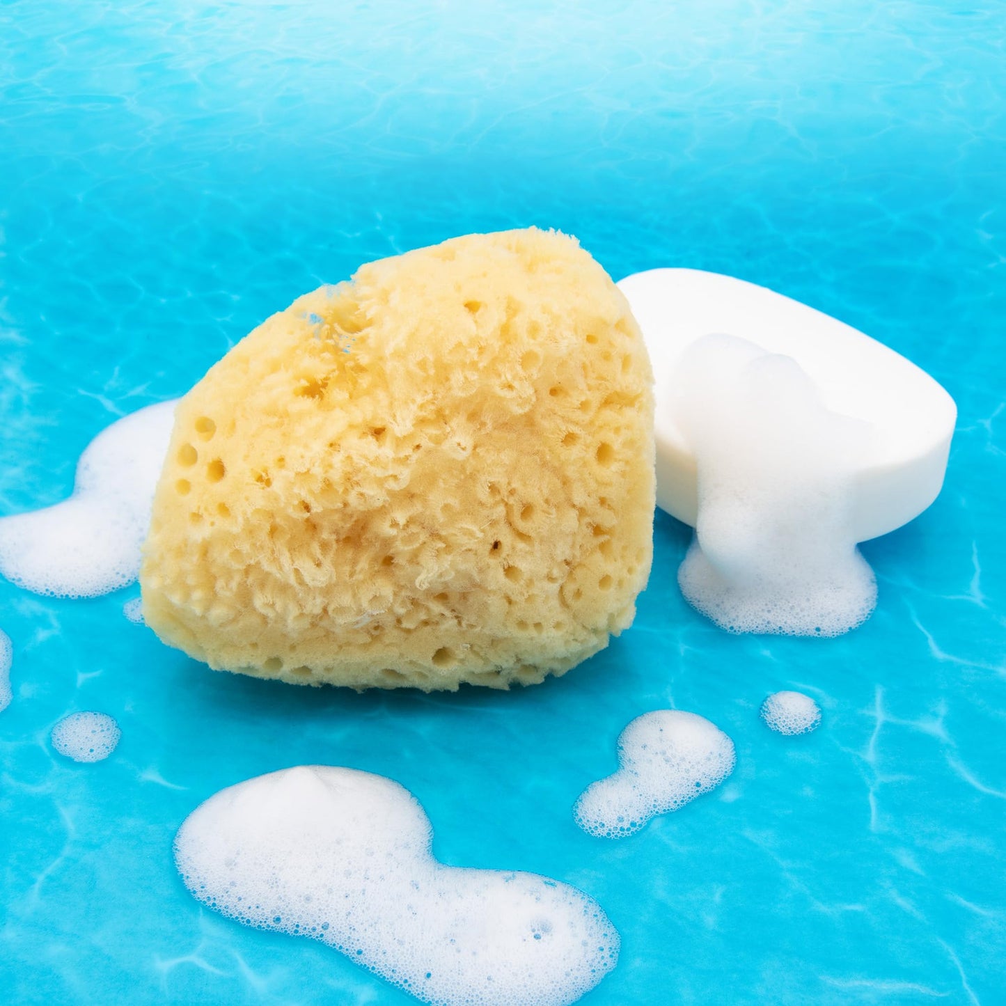 Neptune Natural Caribbean Sea Sponge - All Natural Renewable Sea Sponge (4 inch)
