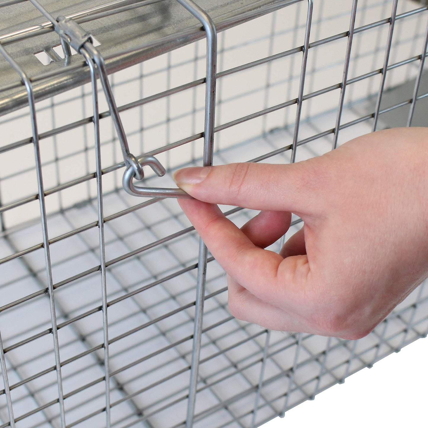 Havahart 1079SR Large 1-Door Humane Catch and Release Live Animal Trap for Raccoons, Cats, Bobcats, Beavers, Small Dogs, Groundhogs, Opossums, Foxes, Armadillos, and Similar-Sized Animals