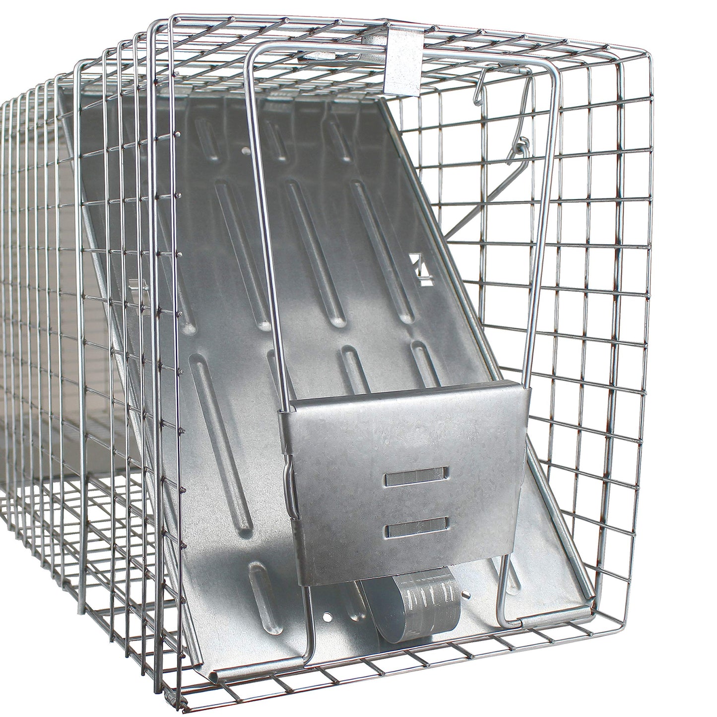 Havahart 1079SR Large 1-Door Humane Catch and Release Live Animal Trap for Raccoons, Cats, Bobcats, Beavers, Small Dogs, Groundhogs, Opossums, Foxes, Armadillos, and Similar-Sized Animals